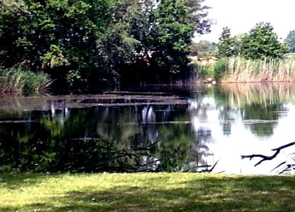 Ferienwohnungen Im Kunst.Haus Am See Доберлуг-Кирххайн Экстерьер фото